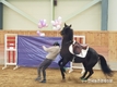 경주퇴역마' 승용마로 제2의 마생... 제7회 경주퇴역 승용마 품평회 성료