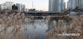 AI '차단방역' 이렇게해야 효과 커