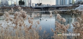 AI '차단방역' 이렇게해야 효과 커