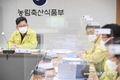 [속보] AI 잇따라 발생...전국 '일시이동중지' 발동