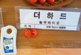 [농/사/현/장]토마토 농사 30년 김영섭 농가가 말하는 고품질 토마토 품종 추천 노하우?