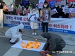 AI '살처분 정책' 바꿔라!