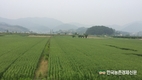 농업계 탄소중립 이행...'단한번비료'로 시작