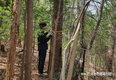 '해외산림자원개발' 자금지원 어디가 받나?