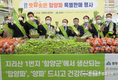 구워먹는 '함양파' 첫출하 화제
