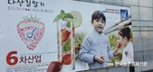 '스마트팜' 확산위한 농자재 표준화에 박차