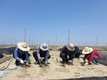 '메소나’ 해외로 간다!