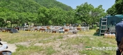 “산주 권리 보장과 탄소중립으로 지구환경이 보전되어야”