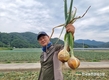 농우바이오 ‘케이파워’ 양파