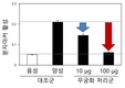 나라꽃 '무궁화' 뼈 건강에도 도움준다네요(?)