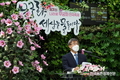 나라꽃 '무궁화' 뼈 건강에도 도움준다네요(?)