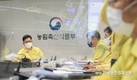 강원 '돼지농장' ASF 추가발생