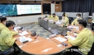 ASF 홍천 돼지농장에서도 추가발생