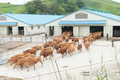 농협사료 'ESG경영' 본격 시동