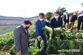 추석 특수 맞아 '먹거리 물가' 잡자!