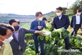 추석 특수 맞아 '먹거리 물가' 잡자!