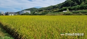 학교급식 eaT 노하우... 공공급식 플랫폼까지 확장한다
