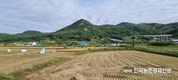 사유재산 '사유림' 공익가치 지원키로