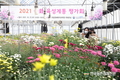 ‘꽃다발용 국화’가 새로 피었습니다
