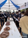 고구마 신품종 ‘소담미’ 현장평가회 호평!