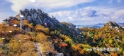 산림청 