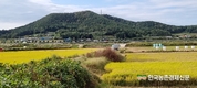 농업인 '공익직불금' 2조2천억 풀린다!