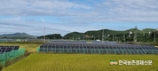 한농연 성명 