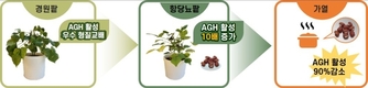 ‘팥’ 항당뇨와 항비만 효과... 식의약 소재 활용 기대