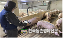 농기평, 양돈 '모바일 체중기' 상용화 성공