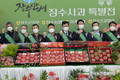 농협유통, 15일부터 5일간 ‘장수 사과’ 특판전