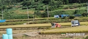 '공익직불금' 평균 375만원씩 받아... 