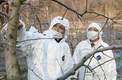 과수화상병 겨울철 특별 예방·예찰기간 3월까지 운영