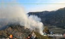 '산림공익직불제 국회통과'... 산림청 핫 10대 뉴스 선정