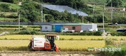 공공비축미 40kg 74,300원씩 매입 확정