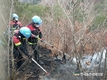 엄동설한 '잇따른 산불'... 새해 벽두부터 큰 몸살