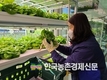 농협유통, 스마트팜에서 갓 따낸 신선 농산물 눈길 끌어