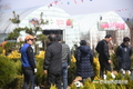 나무시장 4월까지 오픈...“좋은 묘목 구하러 나무시장 오세요”