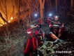 전국 동시다발 산불... 야간산불까지 '진화에 곤욕'