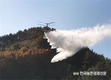 울진･삼척 산불 '특별재난지역' 서둘러 선포