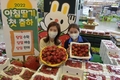 농협유통 