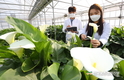 농정원, 조직문화 혁신... ‘EPIS 이노베이터’ 출범