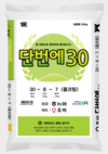 조비 