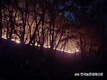 동해안 산불 '진화자원 부족'.. 산림 등 피해지역 컸다