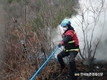 동해안 산불 '진화자원 부족'.. 산림 등 피해지역 컸다