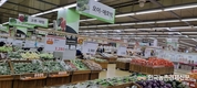농식품 구매행동.. 신선 농산물 지출 더 늘렸다