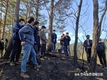 산불피해지 생태계 회복에 고심(?)