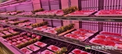 축산물 해썹 HACCP, 의무적용 시행시기 확인하세요!