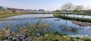 '사유림' 본격 매수나선 산림청... 