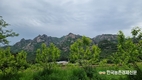 산림청장에 남성현 전 국립산림과학원장 임명
