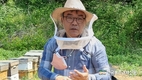 아카시아 벌꿀작황 '풍작예고'... 농가들 모처럼 화색